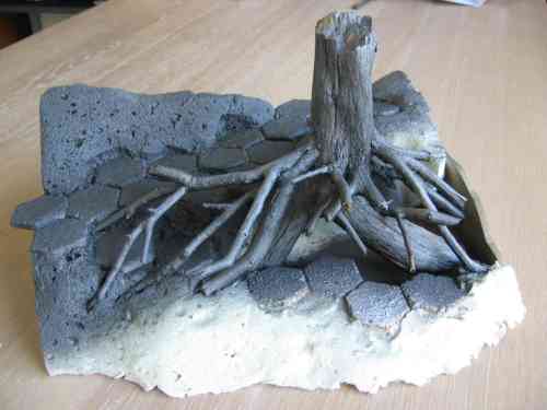 MushroomTree(11)