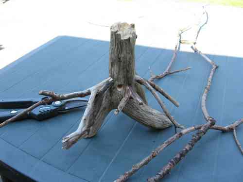 MushroomTree(6)